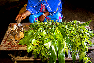 Healer with medicinal herbs in N’giresi village, Tanzania