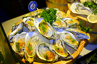 Seafood buffet in a restaurant. Fresh oysters.