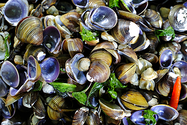 Vietnamese street food. Seafood. Tan Chau. Vietnam.