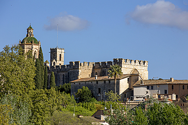 Santes Creus cistercian abbey, Aiguamurcia, Catalonia, Spain