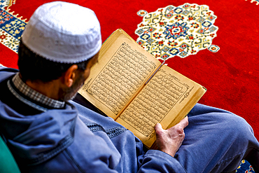 Faithful sitting and reading Kuran in Moulay Driss I mausoleum, (Maqam Moulay Idriss), Moulay Idriss Zerhoun, Morocco