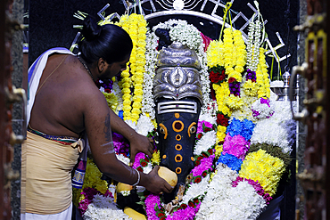 Hindu temple and shrine of Batu Caves. Hindu elephant God Ganesh (Ganesha or Ganapati). Hindu priest performing prayer service or Puja. Kuala Lumpur. Malaysia.