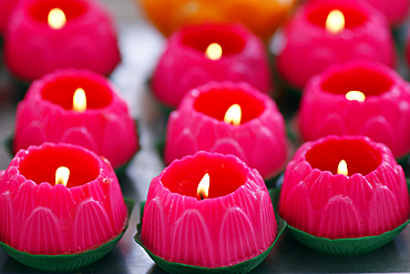 Pink lotus flowers candles at the Thean Hou Temple. Lotus flower is the symbol of human growth and development. Kuala Lumpur. Malaysia.