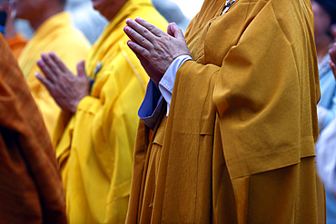 Phuoc Long Buddhist pagoda. Monks praying at Vesak ceremony. Tan Chau. Vietnam.