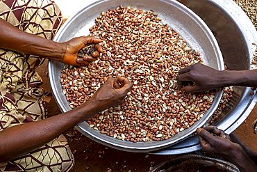 Workshop where peanuts are transformed into klui klui sticks in central Benin