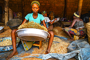 Women working in a workshop where peanuts are transformed into klui klui sticks in central Benin