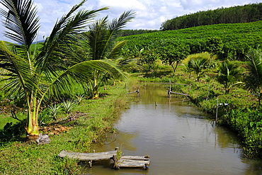 Traditional farm on the highlands. Kontum. Vietnam.