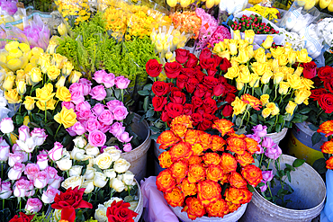 Flower shop. Fresh colorful flowers for sale. Kontum. Vietnam.