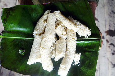 Preparing a traditional meal in a village on the highlands. Rice cooked over a wood fire in a bamboo. Kontum. Vietnam.