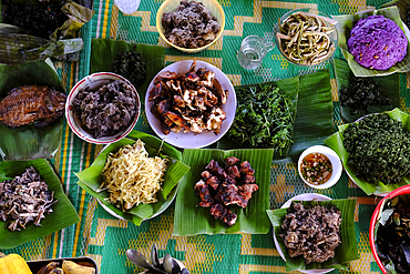 Traditional festive meal in a village on the highlands. Rice cooked over a wood fire in a bamboo pot. Kontum. Vietnam.