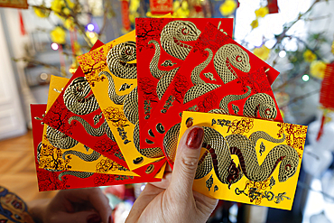 Asian woman with red envelopes ( hongbao ) for Chinese and Vietnamese New Year celebration. Red color is a symbol of good luck. Year of the snake.