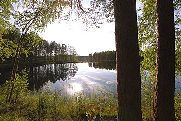 Lake Pihlajavesi, Punkaharju Nature Reserve, Punkaharju Ridge, Saimaa Lake District, Savonia, Finland, Scandinavia, Europe