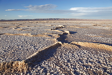 Chott El Jerid, flat dry salt lake between Tozeur and Kebili, Tunisia, North Africa, Africa