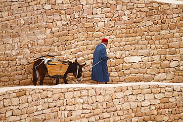 Man and donkey in hillside Berber village of Chenini, Tunisia, North Africa, Africa