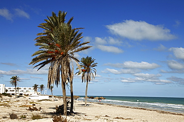 Tourist zone beaches on the Mediterranean coast, Djerba, Tunisia, North Africa, Africa