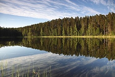 Lake Pihlajavesi, Punkaharju Nature Reserve, Saimaa Lake District, Savonia, Finland, Scandinavia, Europe