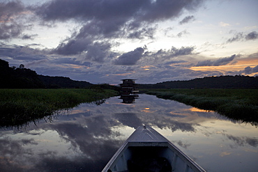 Boating and observing fauna and flora in the everglade area of Kaw, and floating lodge of the marsh in background, French Guiana, South America