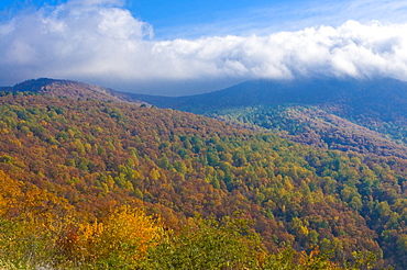 View over the Shenandoah National Park with beautiful foliage in the Indian summer, Virginia, United States of America, North America