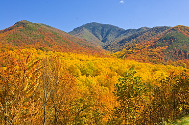 Valley with colourful foliage in the Indian summer, Great Smoky Mountains National Park, UNESCO World Heritage Site, Tennessee, United States of America, North America