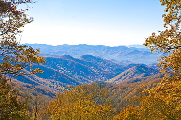 View over valley with colourful foliage in the Indian summer, Great Smoky Mountains National Park, UNESCO World Heritage Site, Tennessee, United States of America, North America