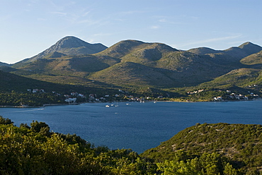 The wonderful Dalmatian Coast with forest, Croatia, Europe