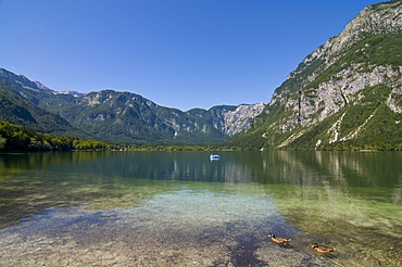 Glacial mountain lake Bohinj, Slovenia, Europe