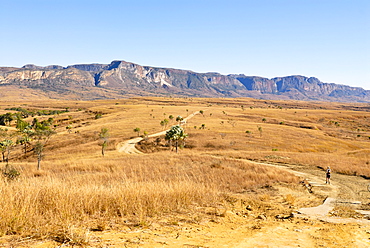 Road going through the Isalo National Park, Madagascar, Africa