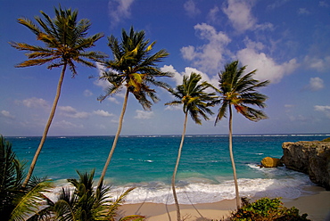 Bottom Bay beach, Barbados, West Indies, Caribbean, Central America