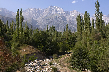 Mountains with walnut trees, Arslanbob, Kyrgyzstan, Central Asia