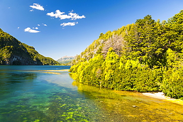 Crystal clear water in the Los Alerces National Park, Chubut, Patagonia, Argentina, South America