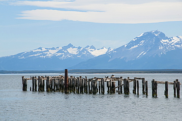 Rotten pier at dusk in Puerto Natales, Patagonia, Chile, South America 