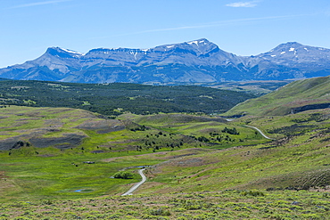 The savanna around the Torres del Paine National Park, Patagonia, Chile, South America 