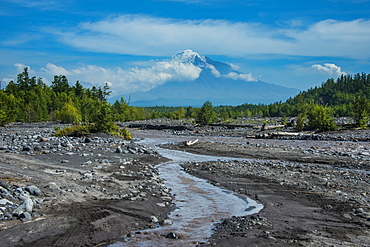 Little creek in front of the Tolbachik volcano, Kamchatka, Russia, Eurasia