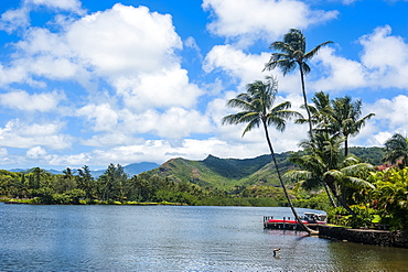 Wailua River. Kauai, Hawaii, United States of America, Pacific