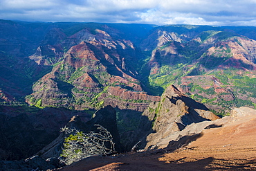 View over the Waimea Canyon, Kauai, Hawaii, United States of America, Pacific