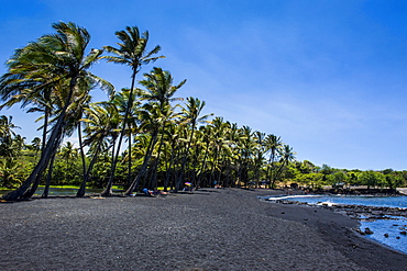 Punaluu Black Sand Beach on Big Island, Hawaii, United States of America, Pacific