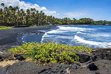 Punaluu Black Sand Beach on Big Island, Hawaii, United States of America, Pacific