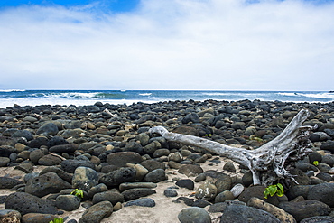 Huge pebbles on the Halawa beach in Halawa Bay on the island of Molokai, Hawaii, United States of America, Pacific