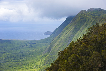 Kalaupapa overlook on the island of Molokai , Hawaii, United States of America, Pacific