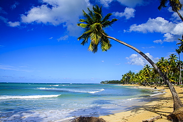 Casa Blanca Beach, Las Terrenas, Dominican Republic, West Indies, Caribbean, Central America