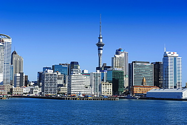 Skyline of Auckland, North Island, New Zealand, Pacific