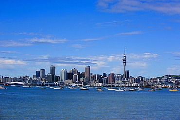 Skyline of Auckland, North Island, New Zealand, Pacific