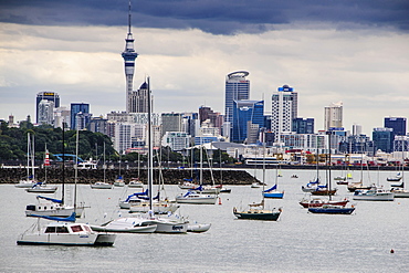 The harbour of Auckland with the skyline in the background, Auckland, North Island, New Zealand, Pacific