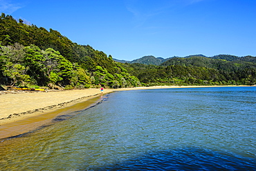 Long sandy beach, Abel Tasman National Park, South Island, New Zealand, Pacific