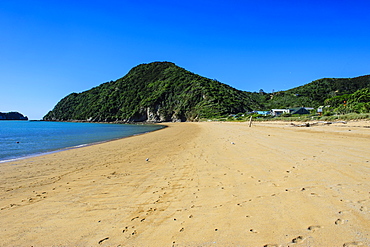 Long sandy beach, Abel Tasman National Park, South Island, New Zealand, Pacific