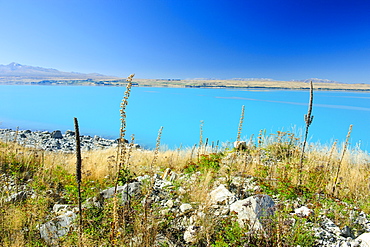 Lake Pukaki, Mount Cook National Park, UNESCO World Heritage Site, South Island, New Zealand, Pacific