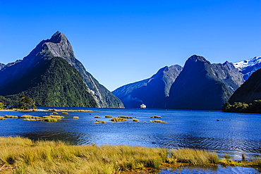 Cruise ship passing through Milford Sound, Fiordland National Park, UNESCO World Heritage Site, South Island, New Zealand, Pacific