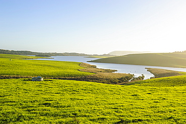 Little lake in green fields, the Catlins, South Island, New Zealand, Pacific