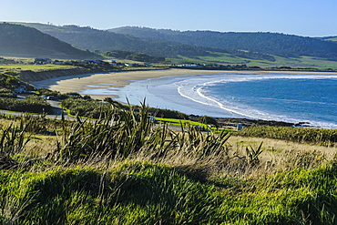 View over Curio Bay, the Catlins, South Island, New Zealand, Pacific