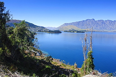 The shores of Lake Wakatipu, Queenstown, Otago, South Island, New Zealand, Pacific